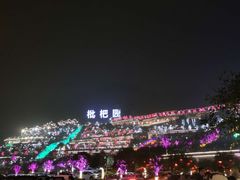 -枇杷园食为鲜火锅(南山店)