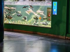 -常州海昌海洋探索馆