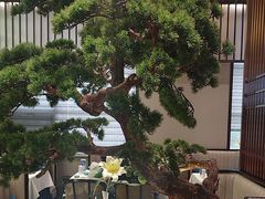 -聆桂烤鸭·金奖烤鸭(静联广场店)