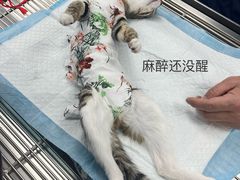 -良伴无忧宠物医院(泰欣嘉园店)
