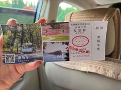 -棒棰岛宾馆景区