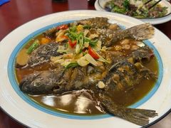 -呼吸森林·生态农庄农家乐私房菜