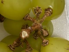 -JustFresh捷德鲜超市(西康店)