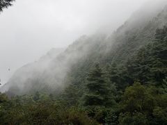 -苍山感通索道