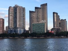 -玫瑰园餐厅