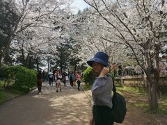 -武汉大学-樱园