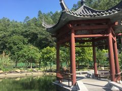 -广州神农草堂中医药博物馆