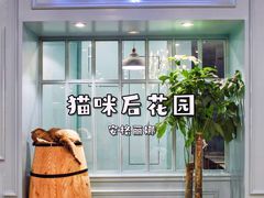 -安格丽娜·狗咖·猫咖羊驼咖(春熙路百盛商场店)