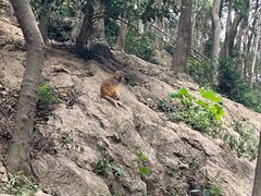 -黔灵山公园-南门售票处