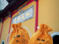 -九华山风景区月身宝殿