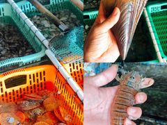-乡味海鲜农家菜·巽寮土窑鸡(地道美食店)