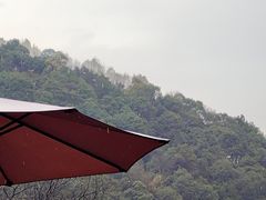 -韬光茶庵