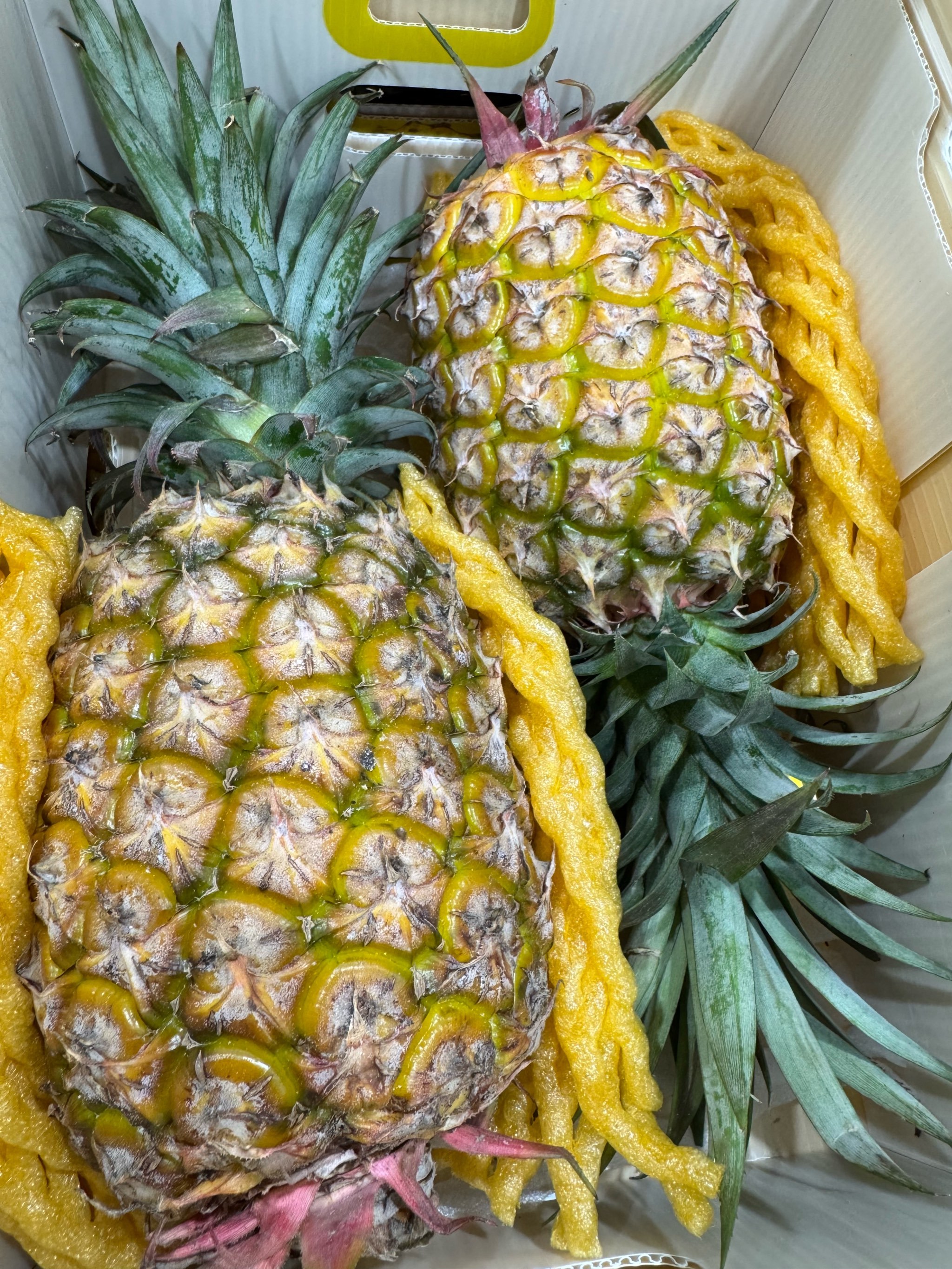 不是所有菠萝都叫凤梨,山姆上新了凤梨届的明星