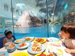 -帝企鹅自助餐厅•儿童岛•真企鹅(长隆企鹅酒店)