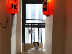 -春草居酒屋·晴子の店