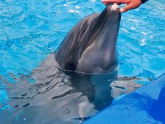 -北戴河圣蓝海洋公园