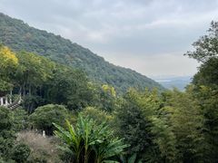 -韬光茶庵