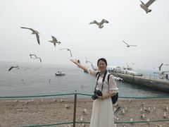-海驴岛(荣成市)