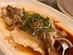 清蒸笋壳鱼-博多新记·粤菜(复兴店)