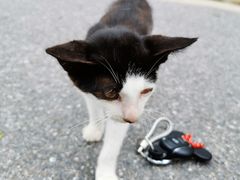 -金石唐风国际温泉会馆