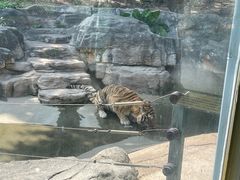 -深圳野生动物园