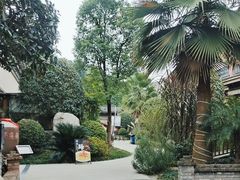 -夜不收荤豆花(大邑总店)