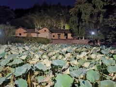 -韶山毛泽东同志故居