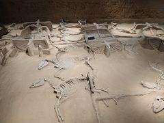 -洛阳周王城天子驾六博物馆