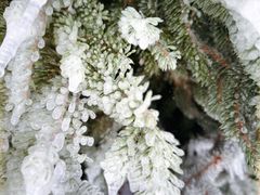 -长白山万达国际度假区