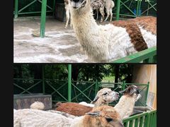 -杭州野生动物世界