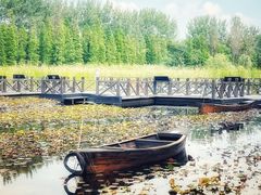 -溱湖国家湿地公园