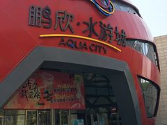 -鹏欣水游城