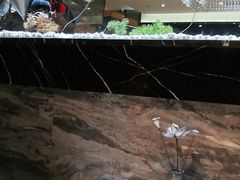 -红辣椒·川菜·火锅(张杨路店)