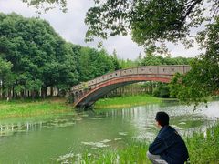 -昆山城市生态森林公园