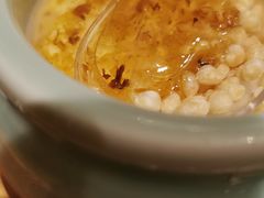 自制酸奶-额尔敦传统涮(公园西路店)