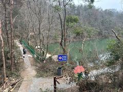 -青龙山国家森林公园