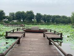 -鹅湖玫瑰文化园