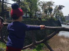 -名古屋城