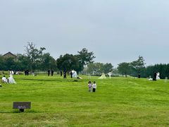 -汉长安城未央宫国家考古遗址公园