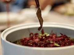 -子福慧(虹桥店)