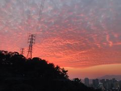 -金鸡山公园