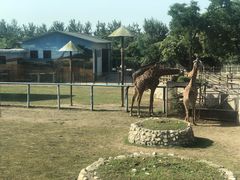 -西安秦岭野生动物园