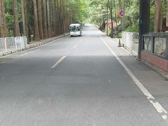 -青城山