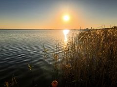 -碧海金沙