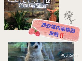 家门口的动物园| 六一溜娃必打卡 |团购优惠价