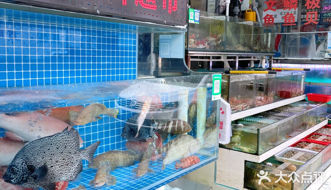 【深圳海鲜超市】现捞现杀生猛海鲜，人来人往批发档口