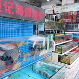 【深圳海鲜超市】现捞现杀生猛海鲜，人来人往批发档口