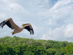 -深圳野生动物园