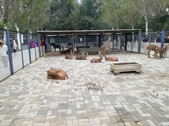 -长白岛森林公园