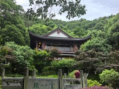 -十八棵（老龙井）御茶园(老龙井店)